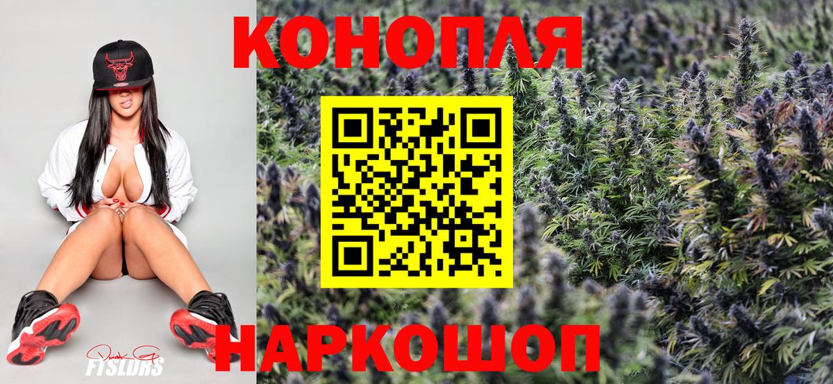 Шишки марихуана ГИДРОПОН Тара